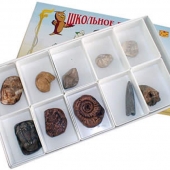 Коллекция «Палеонтологическая» гипс (23 шт.)
