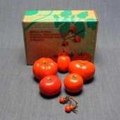 Набор муляжей «Дикая форма томата обыкновенного и культурные сорта томатов»