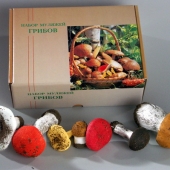Набор муляжей грибов (7 видов)