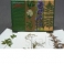 Гербарий «Ядовитые растения» (20 видов) формат А-3
