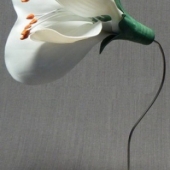 Модель «Цветок гороха»