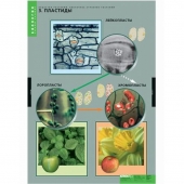Комплект таблиц «Вещества растений. Клеточное строение» (12 шт.)