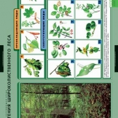 Комплект таблиц «Растения и окружающая среда» (7 шт.)
