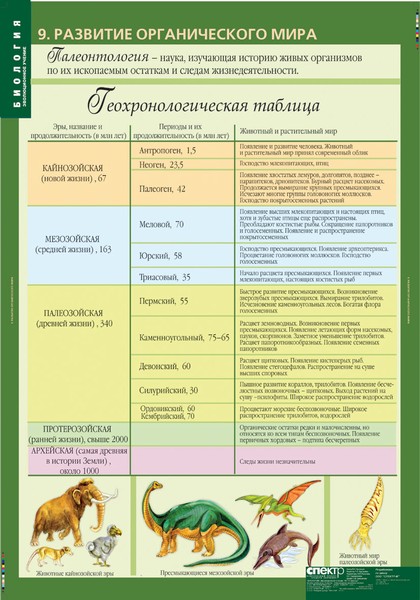 Презентация основные этапы эволюции органического мира на земле