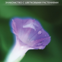 DVD Ботаника. Знакомство с цветковыми растениями
