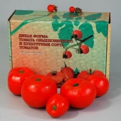 Набор муляжей «Дикая форма и культурные сорта томатов»