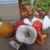 Набор муляжей грибов съедобных и ядовитых