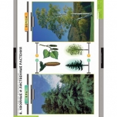 Комплект таблиц «Летние и осенние изменения в природе» (13 таблиц + 32 карточки)