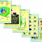 Комплект таблиц по окружающему миру для 1-4 кл. Растения. Животные (20 шт.)