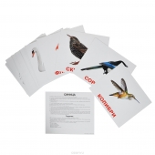 Набор карточек «Птицы»  (20 шт. 150х200 мм.)