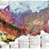 Почвенная карта России глянцевое 1-стороннее ламинирование