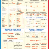 Таблица  Грамматика французского языка. Имя прилагательное винил 70х100