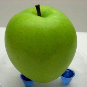 Яблоко «Зеленое»