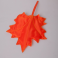 Осенний лист (березовый, дубовый, кленовый) цвет: красный, желтый, оранжевый, зеленый.