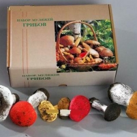 Набор муляжей грибов