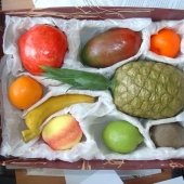 Набор муляжей тропических фруктов