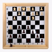 Шахматы настенные демонстрационные 810*810